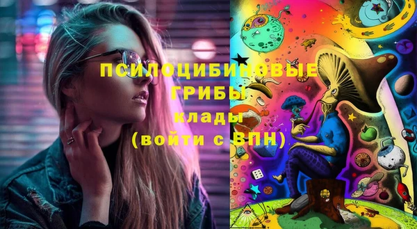 дживик Арсеньев