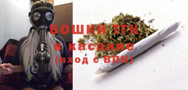 дживик Арсеньев